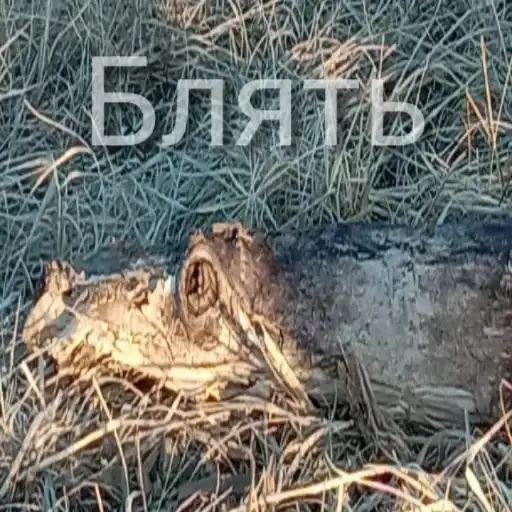 Всякая всячина preview