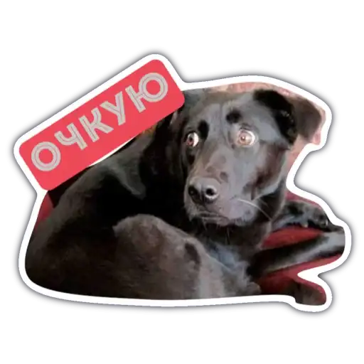 Livuiton зе бест preview