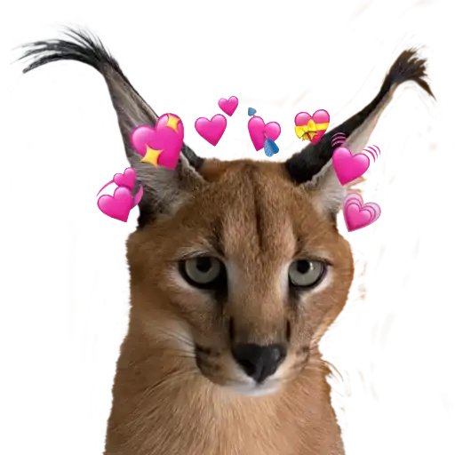 Floppa (Caracal preview