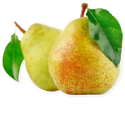 Sticker 🍐