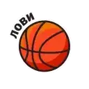 Sticker 🏀