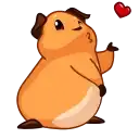 Melie the Cavy preview