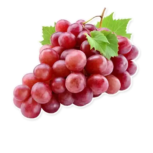 Sticker 🍇