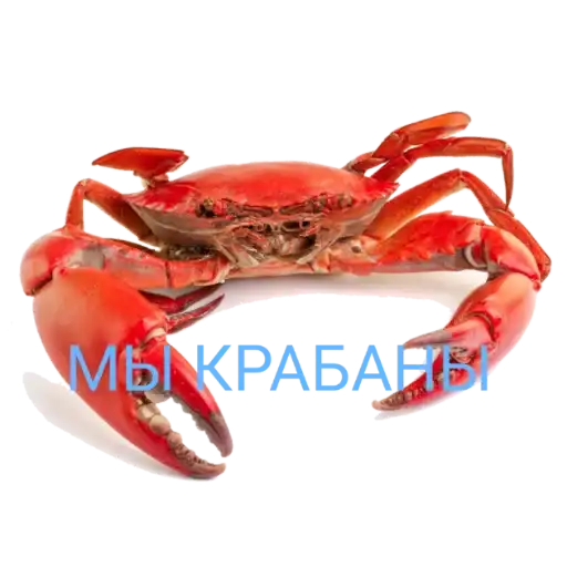 Sticker 🦀