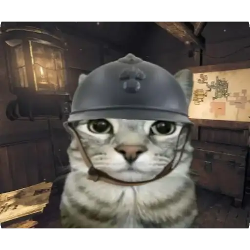 Sidim Ne Rypaemsya632 preview