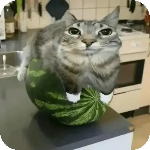 Sidim Ne Rypaemsya632 preview