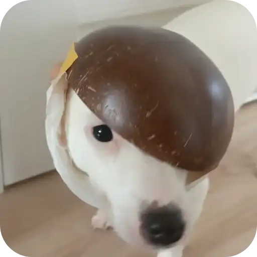 Джерри preview