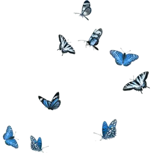 Sticker 🦋