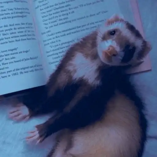 Sticker 👁️‍🗨️