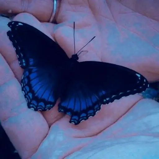 Sticker 👁️‍🗨️