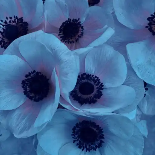 Sticker 👁️‍🗨️