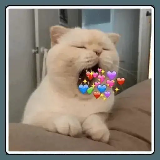 Sticker 🐱