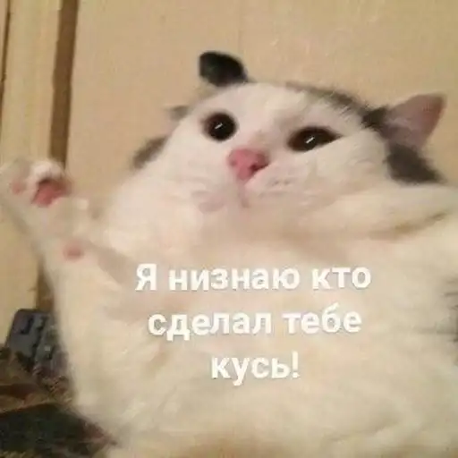 Sticker 🤷‍♂️