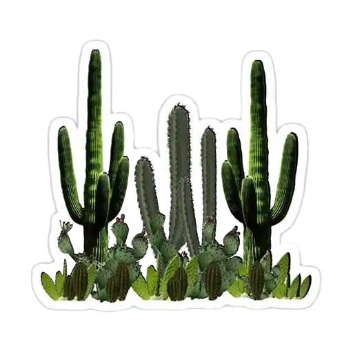 Sticker 🌵